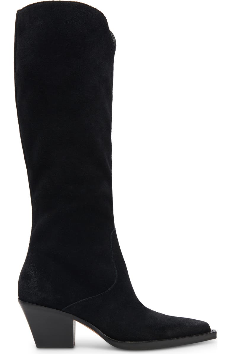 Dolce Vita Raj Pointed Toe Knee High Boot, Alternate, color,