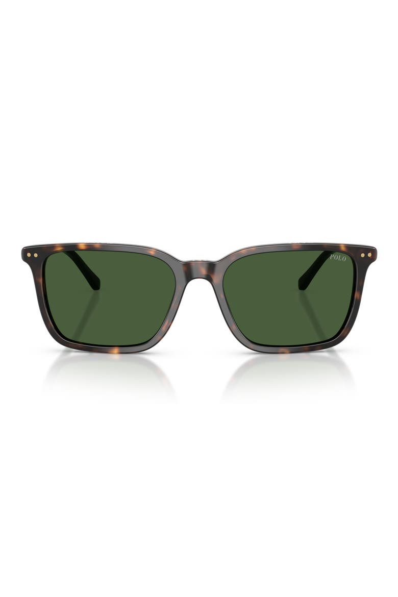 PH4226 56mm Pillow Sunglasses, Main, color, DARK HAVANA / BOTTLE GREEN