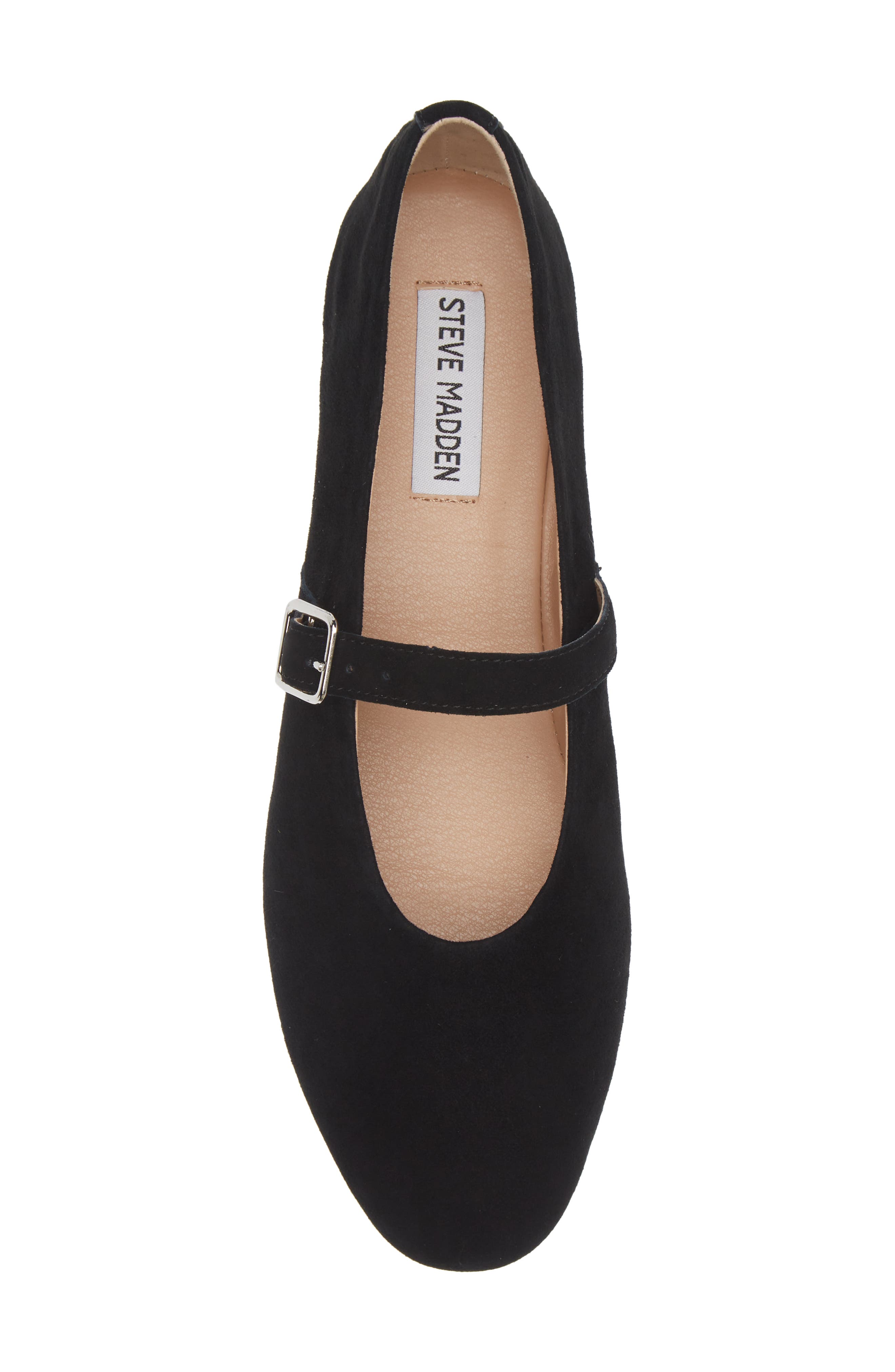 Dreaming Mary Jane Flat, Alternate, color, BLACK SUEDE