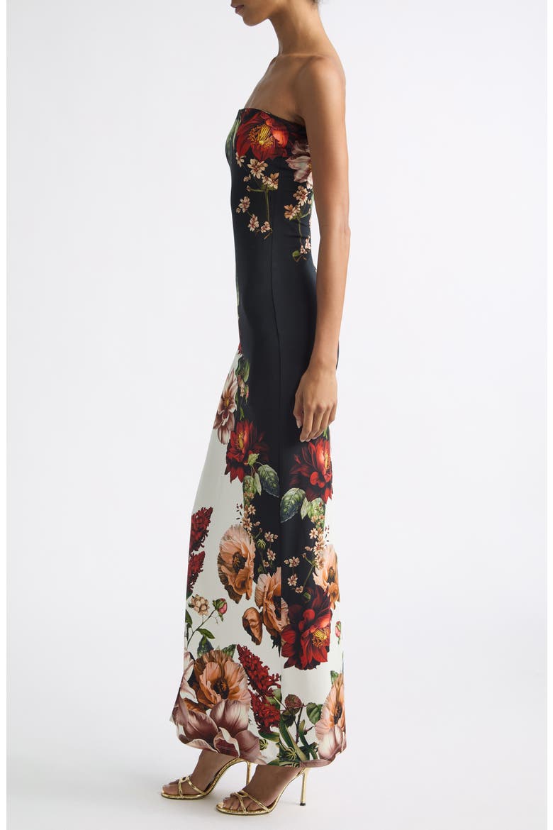 Delora Strapless Maxi Dress, Alternate, color, FLRLRDIANC