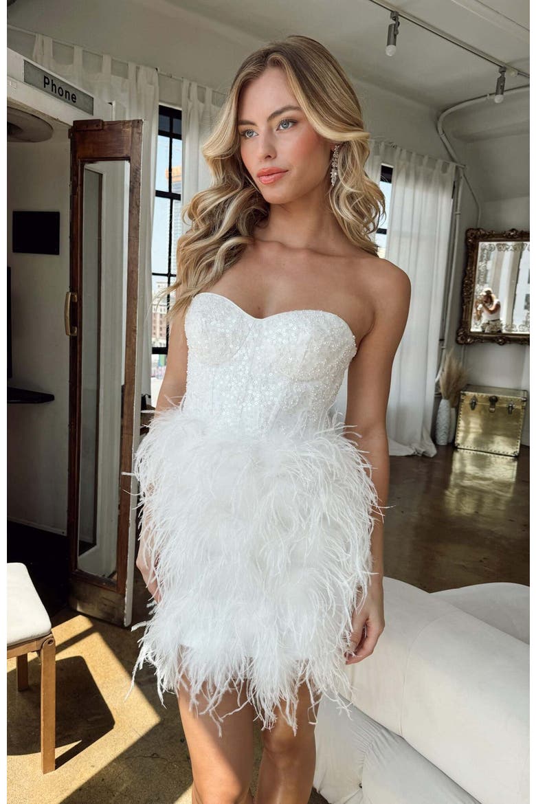 Broadway Mini Dress, Alternate, color, Ivory