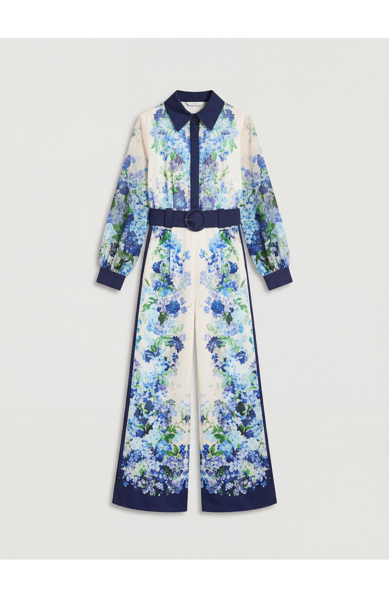 Coast Long Sleeve Placement Print Jumpsuit, Alternate, color, Ivory