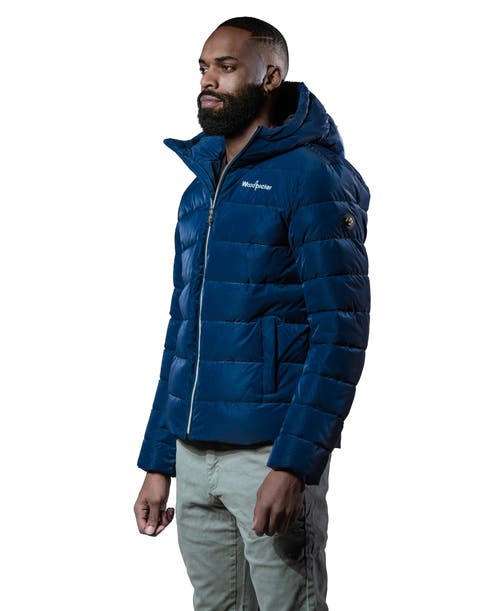 Woodpecker Sparrow Medium Weight Coat In Blue
