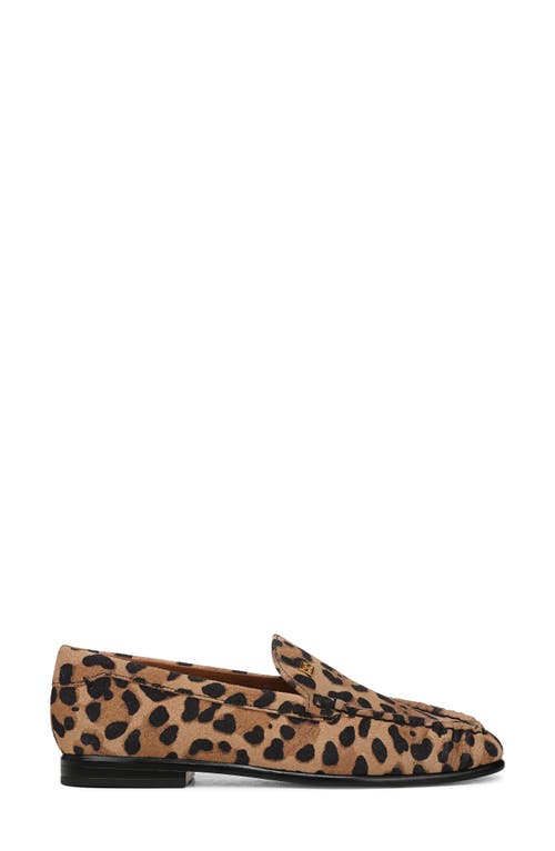 Sarto By Franco Sarto Lainey Loafer In Brown