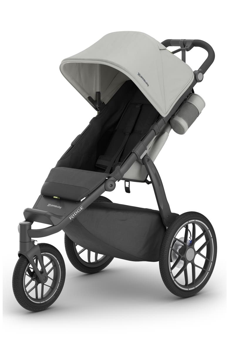 Ridge® V2 Jogging Stroller, Main, color, SAVANNAH