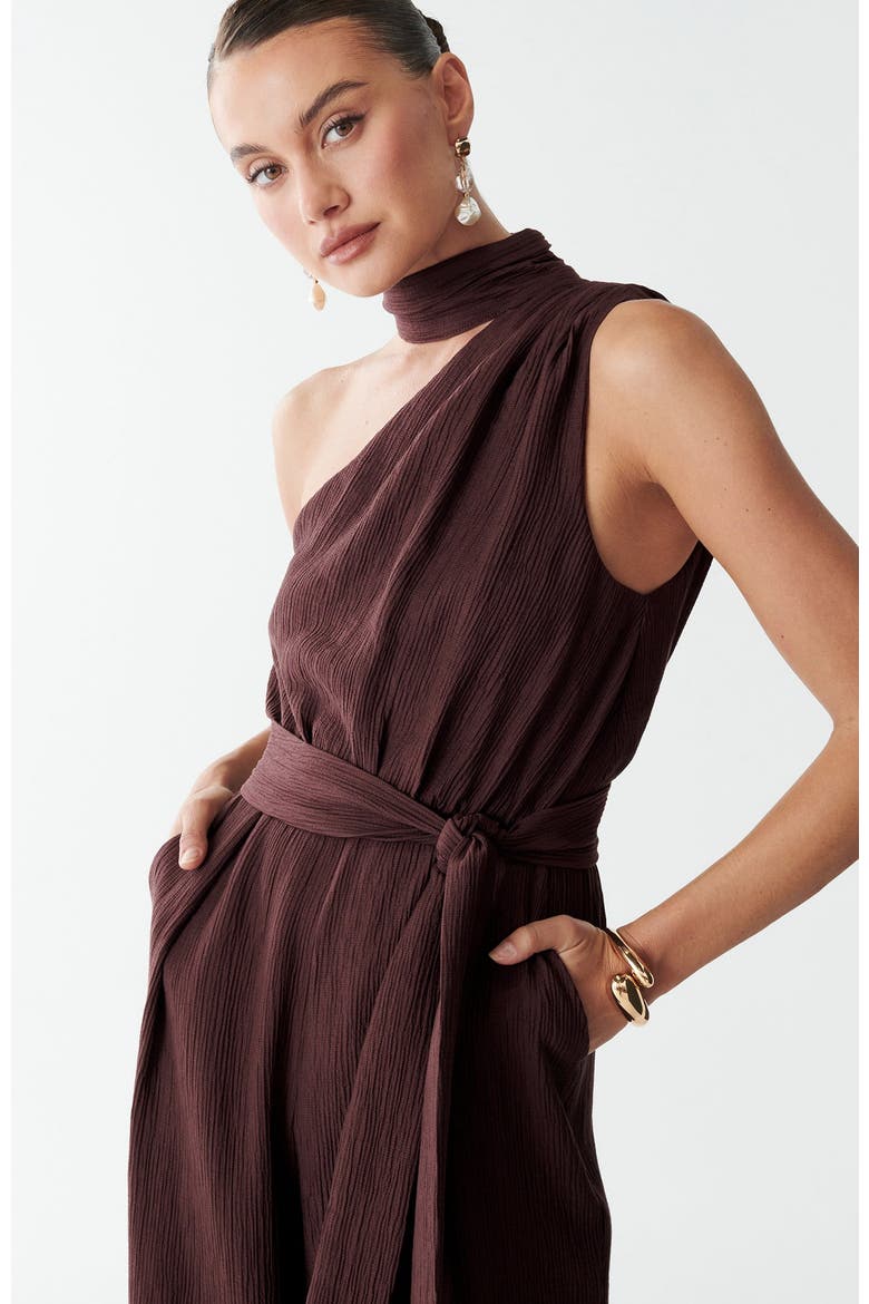 Vera Jumpsuit, Alternate, color, Chocolate