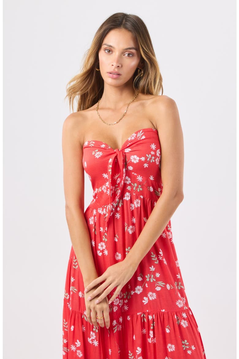 Gardenia Maxi Dress, Alternate, color, FLORET RED