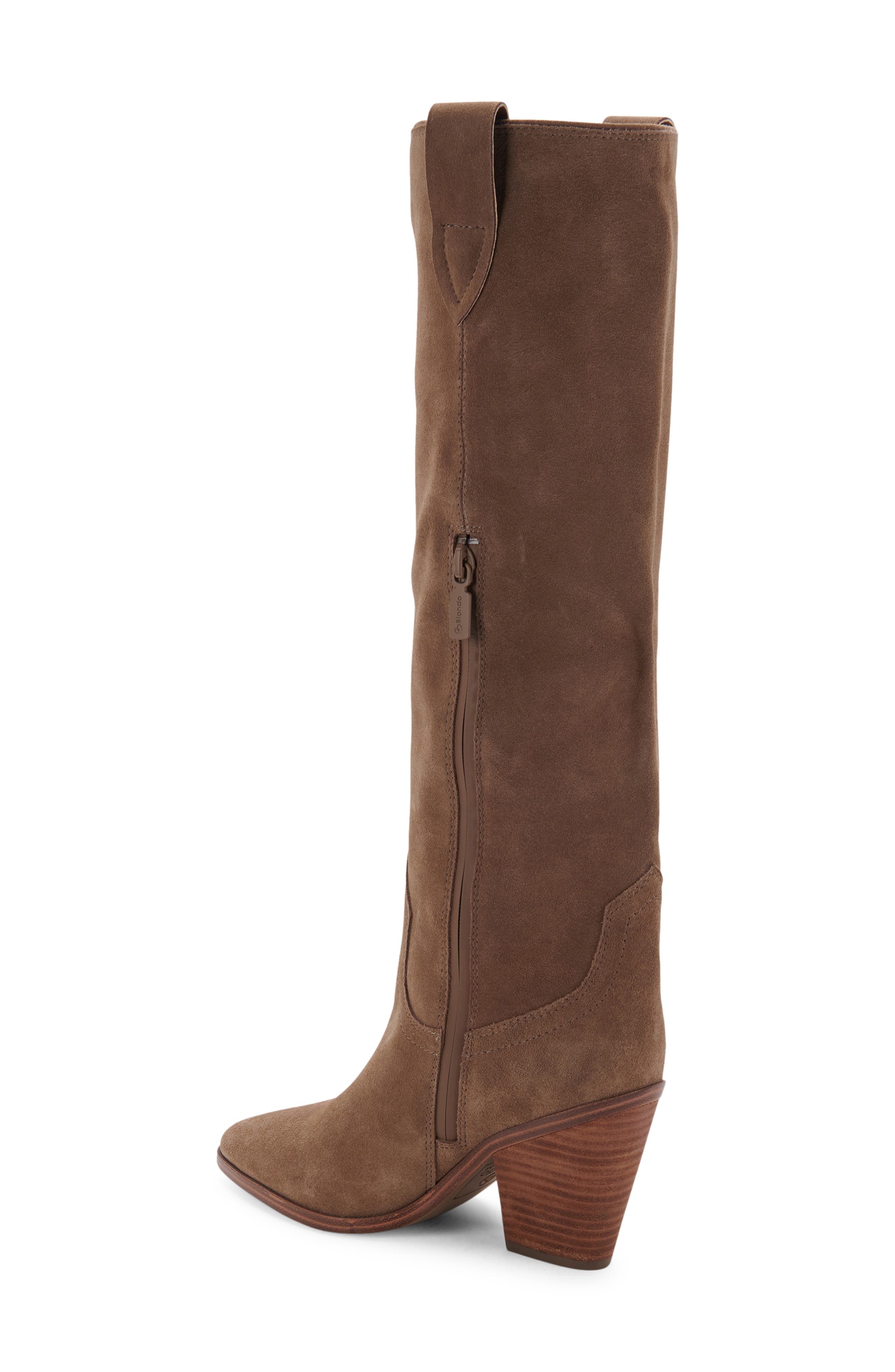 Wylde Waterproof Pointed Toe Boot, Alternate, color, TAUPE SUEDE