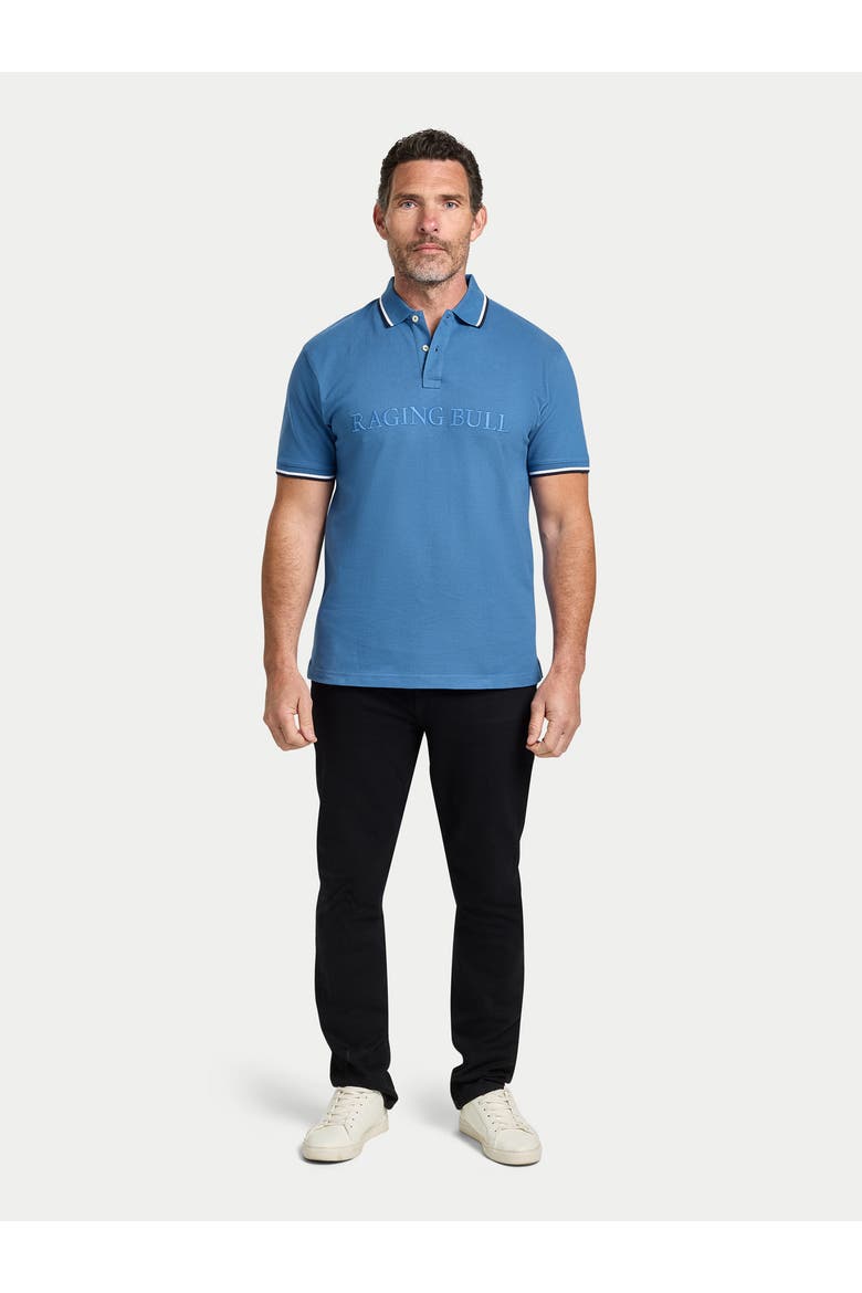 Short Sleeve Embroidery Pique Polo, Alternate, color, Denim Blue
