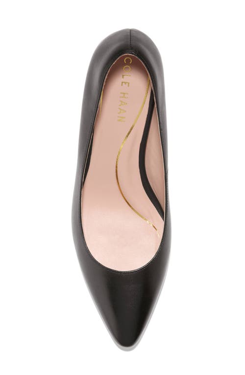 Shop Cole Haan Cassandra Pointed Toe Pump