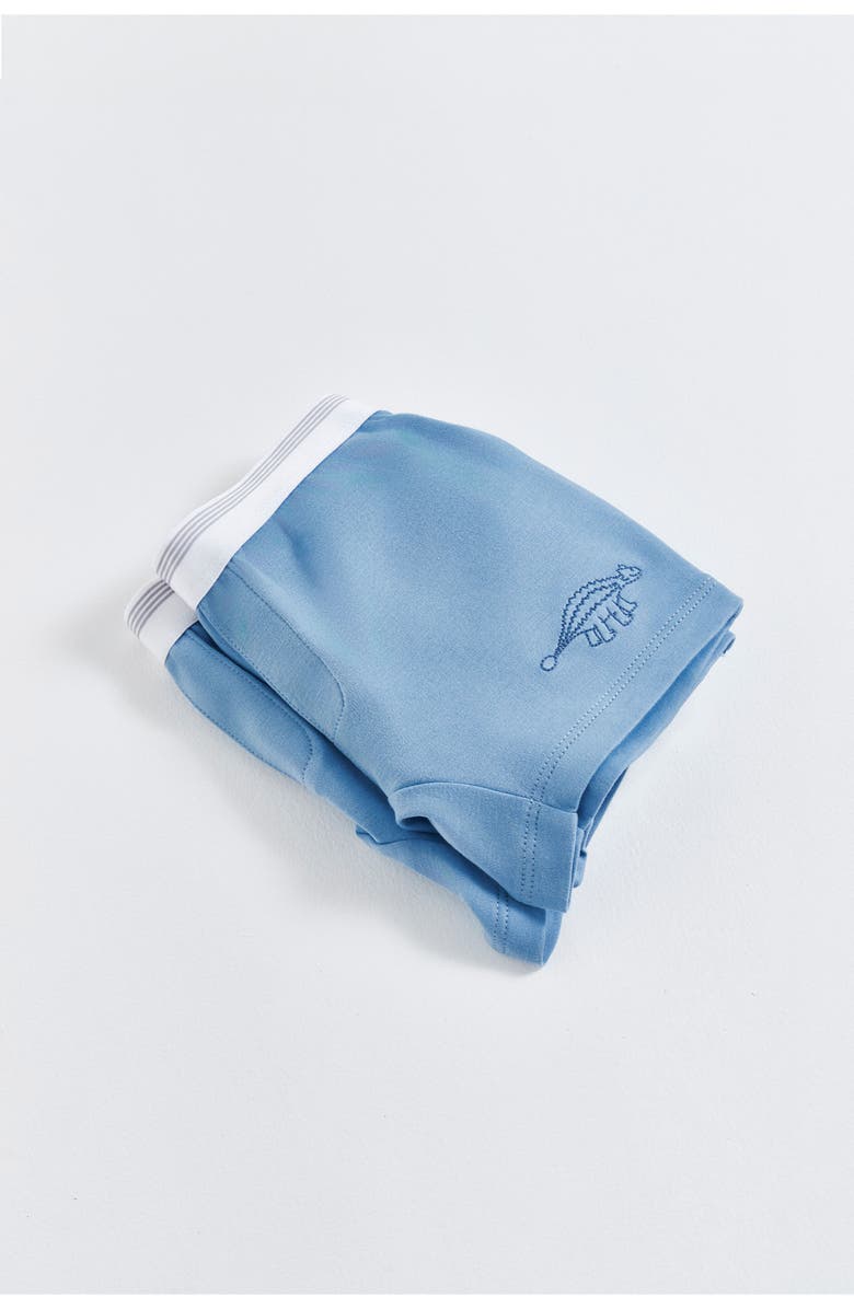 Babycottons Premium Cotton Roar Boxers 2-Pack for Toddler, Alternate, color, Blue