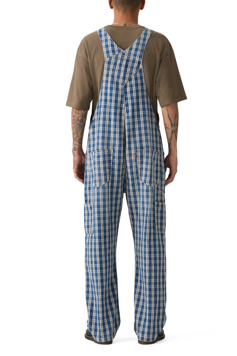 Loose Check Print Cotton Denim Overalls, Alternate, color, SUMMER CHECK OVERALL