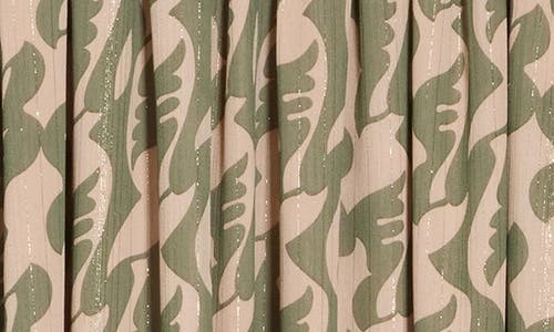 Renee C Women's Print Semi Sheer Maxi Skirt In Green
