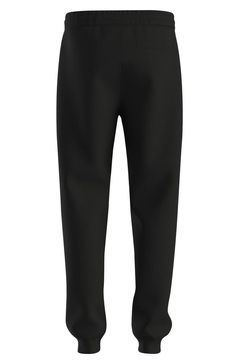 Dimacs Drawstring Joggers, Alternate, color, BLACK