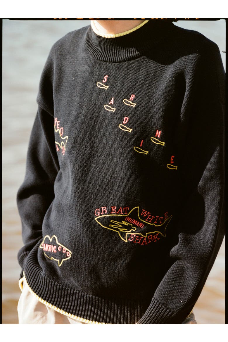 'Fishes of the North Atlantic' Sweater, Alternate, color, Navy