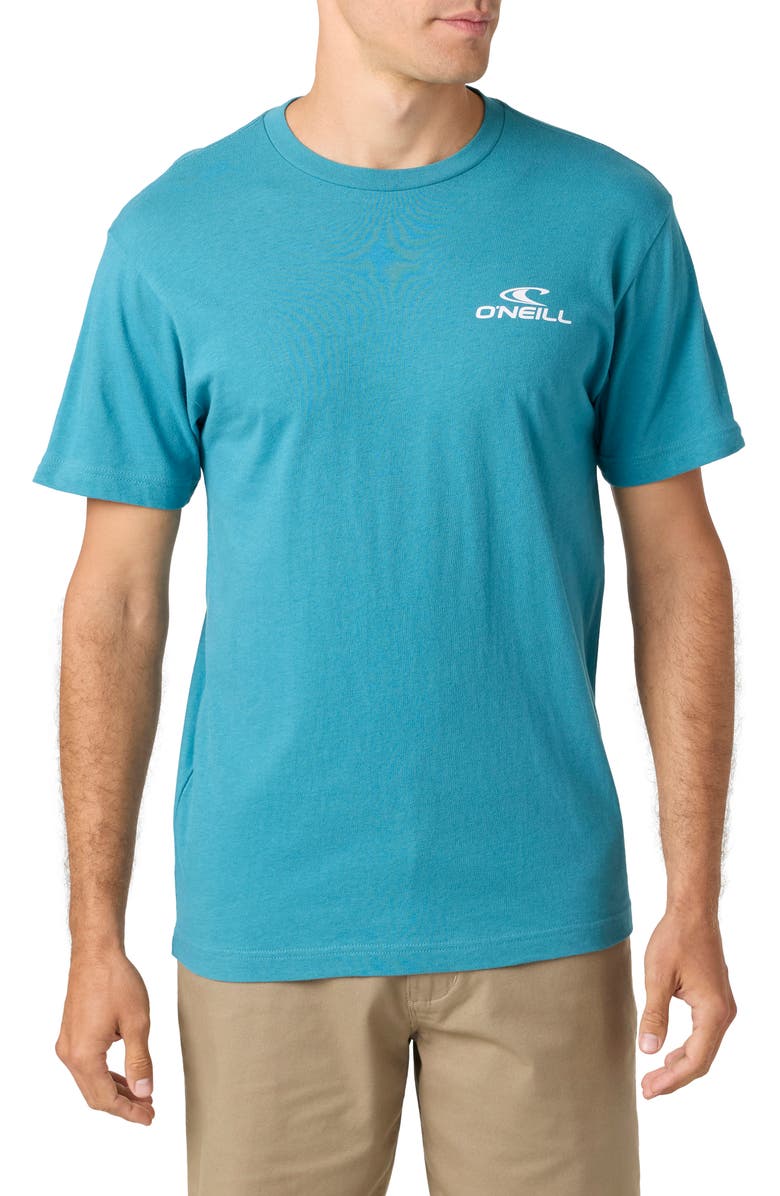 O'Neill Blended Floral Logo Graphic T-Shirt, Main, color, 