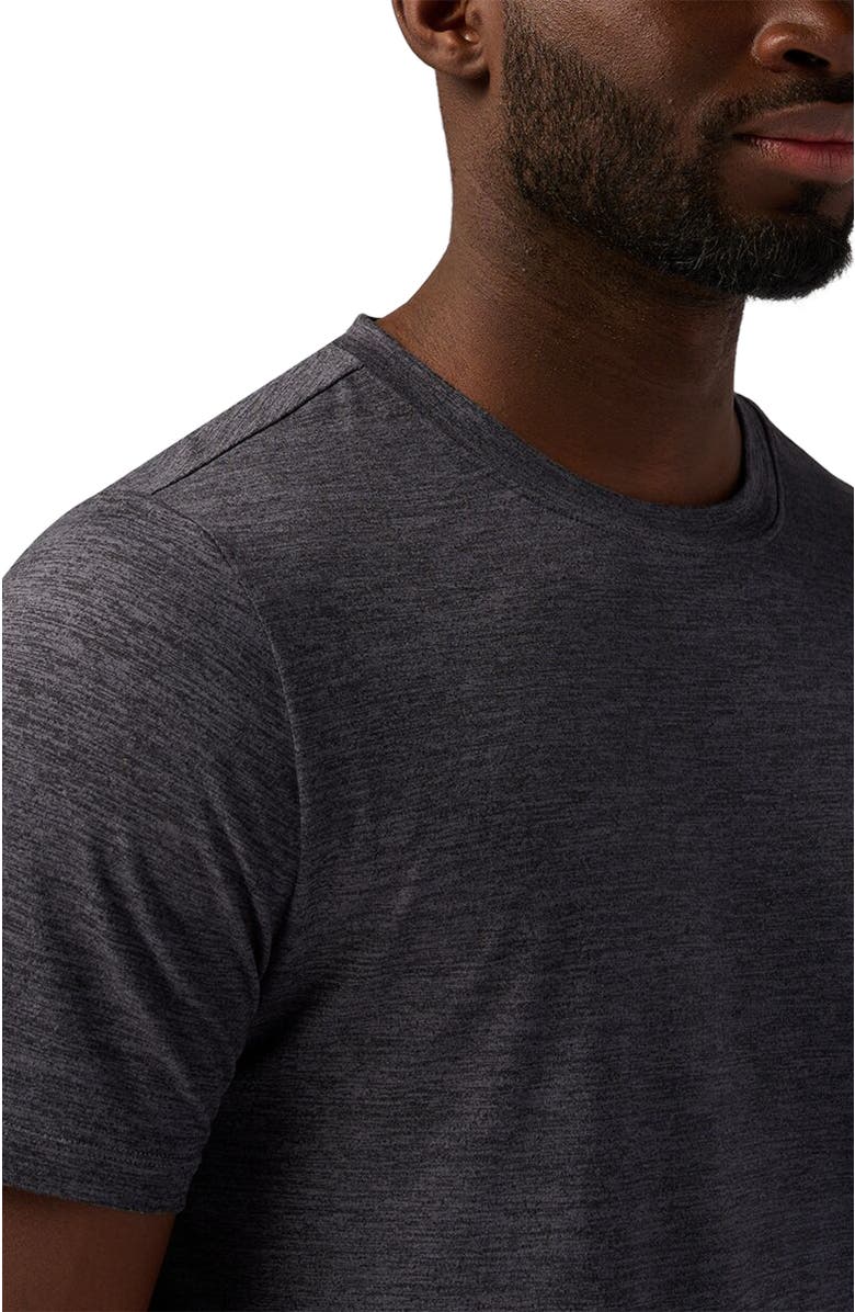 Backcountry Destination Crew T-Shirt - Men's, Alternate, color, Turbulence