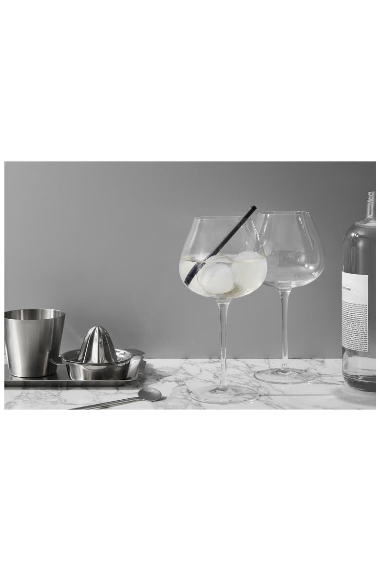 Aroma Copa Set of 4 Gin & Tonic Glasses, Alternate, color, CLEAR