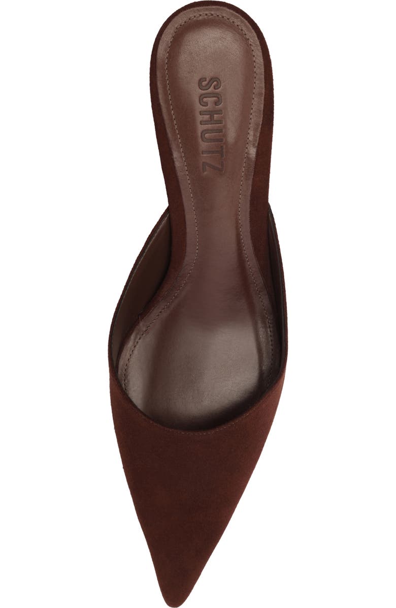 Schutz Julie Pointed Toe Mule, Alternate, color, Chestnut Brown