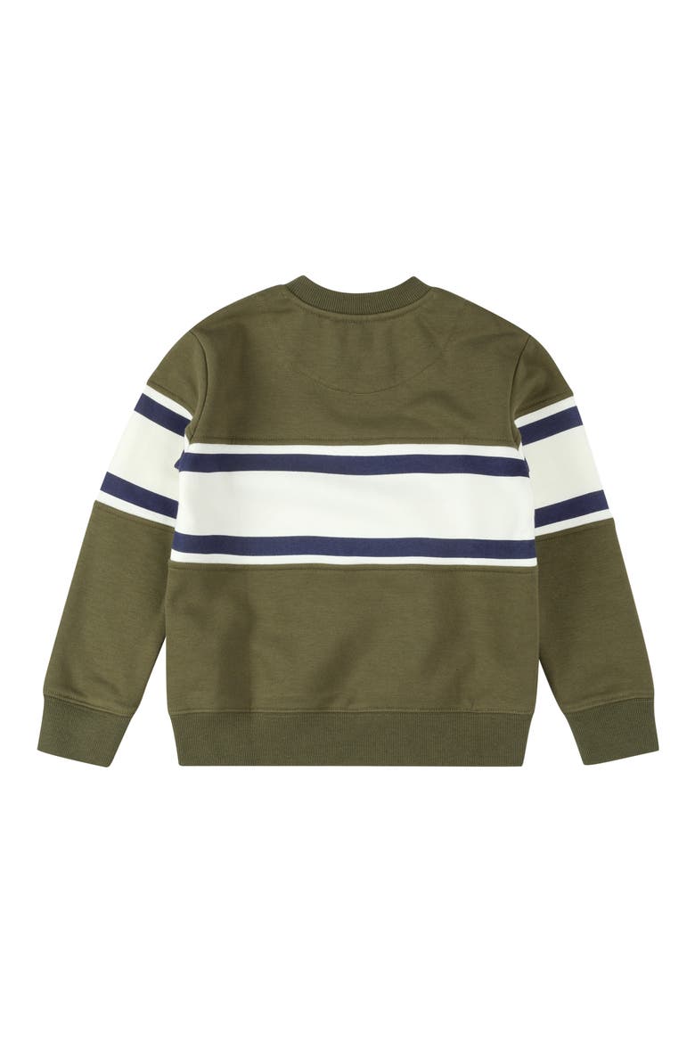 Kids' Embroidered Cotton Blend Sweatshirt, Alternate, color, OLIVE GREEN