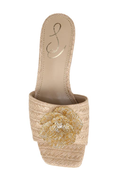 Sam Edelman Winsley Raffia Slide Sandal In Brown