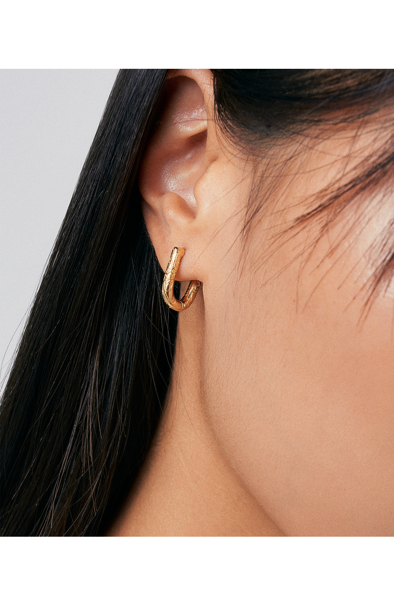 Hey Harper Daphne Amelia Earrings, Alternate, color, Gold