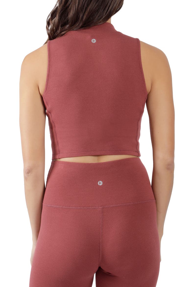 Waffle Knit Mock Neck Cropped Tank, Alternate, color, APPLE BUTTER