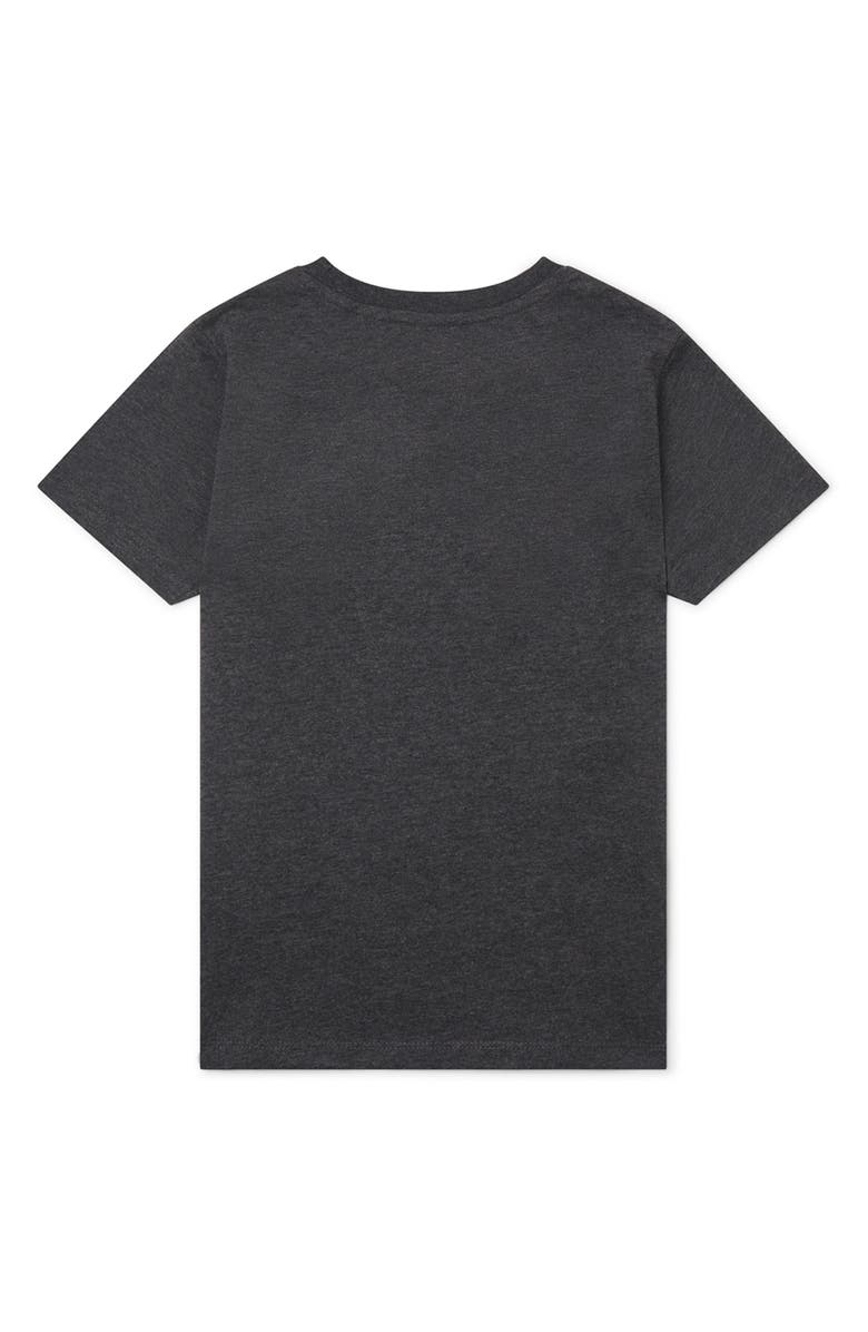 Boardies Kids' Surfin' Bird Cotton Graphic Tee, Alternate, color, Grey