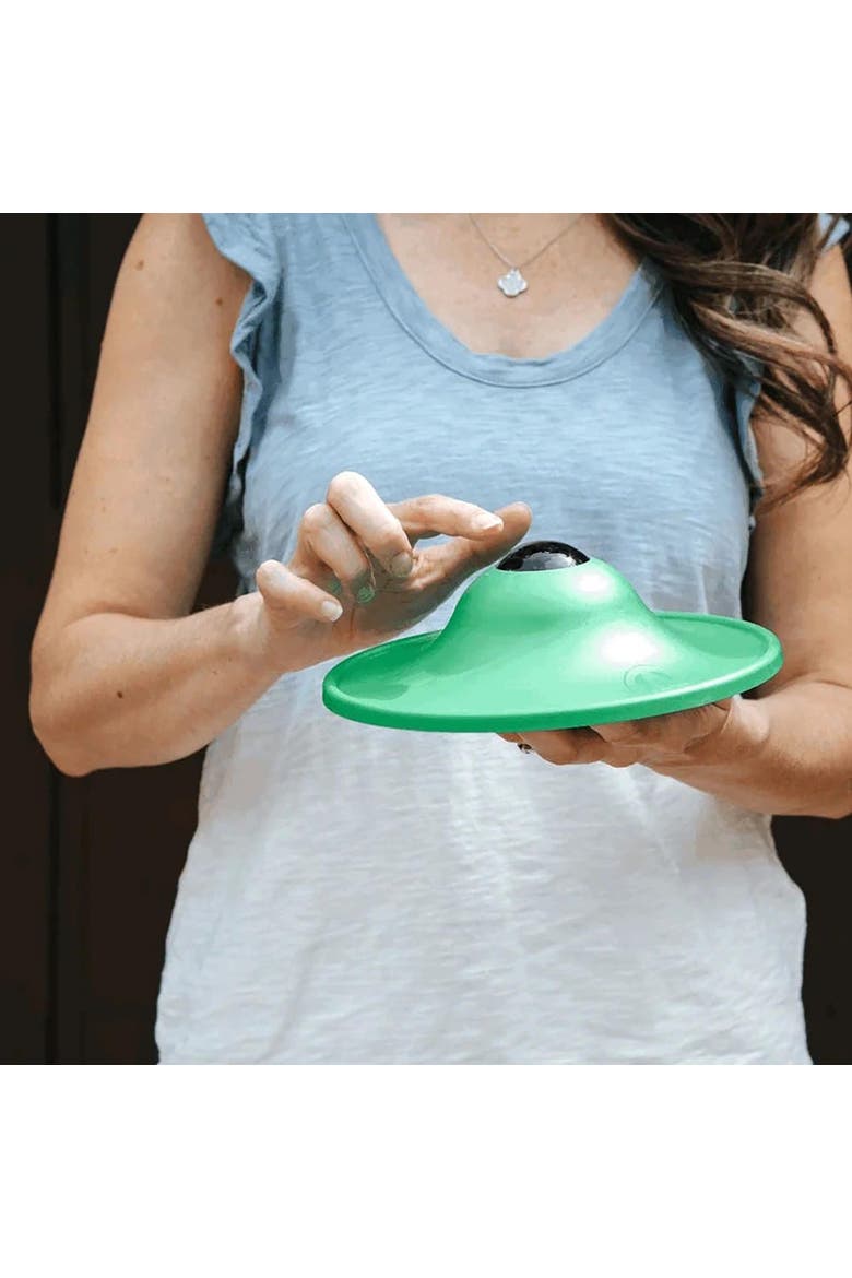 Soothing Saucer For Dogs, Alternate, color, Multicolored