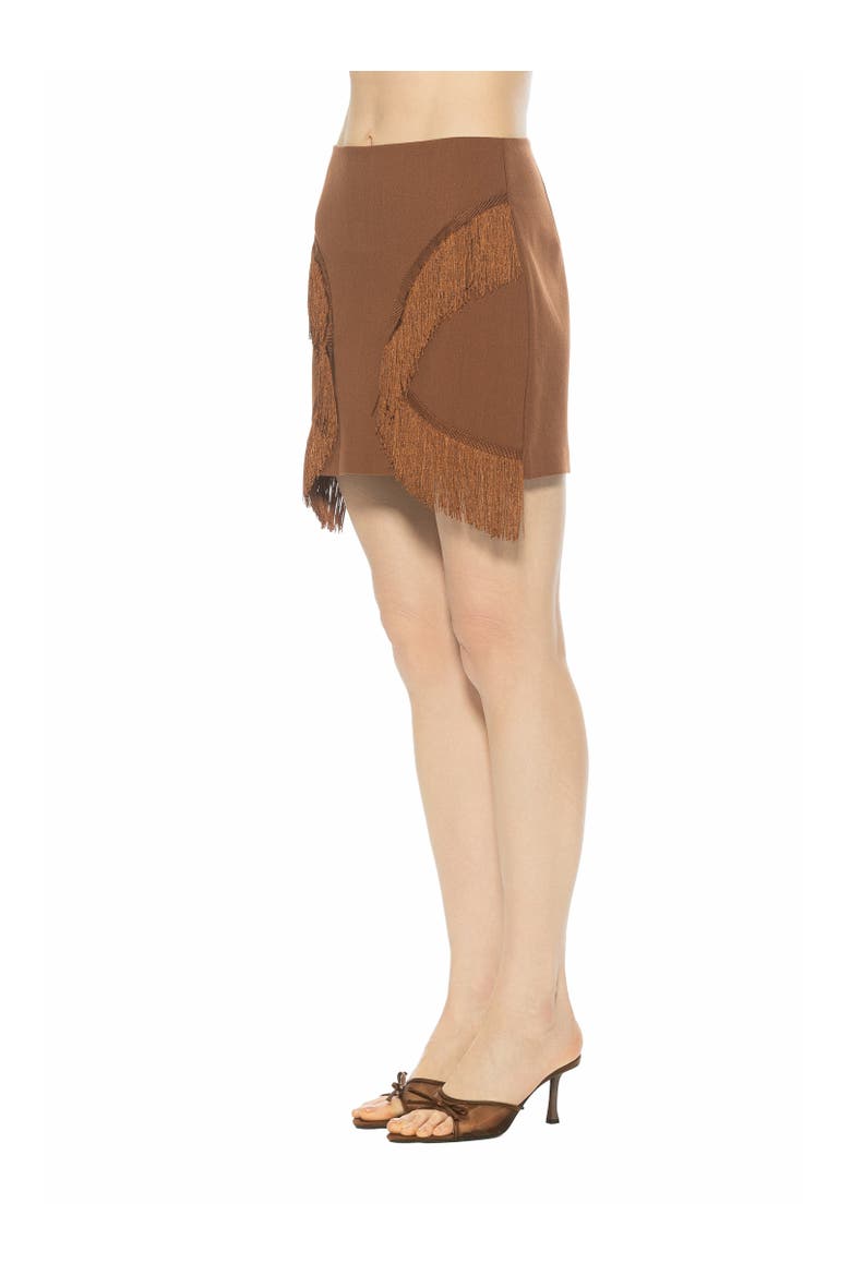Lior Fringe Grommet Mini Skirt, Alternate, color, Brown