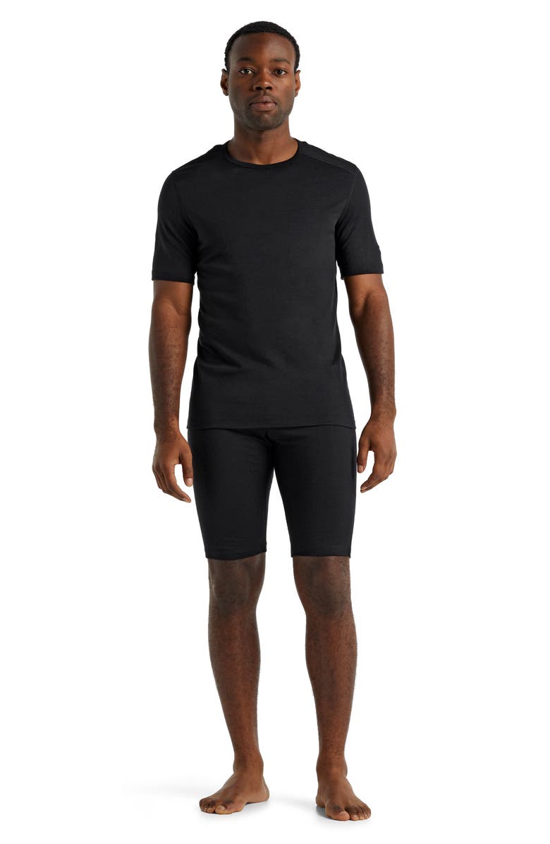 Icebreaker Men's 200 Oasis Merino Wool Shorts, Alternate, color, 