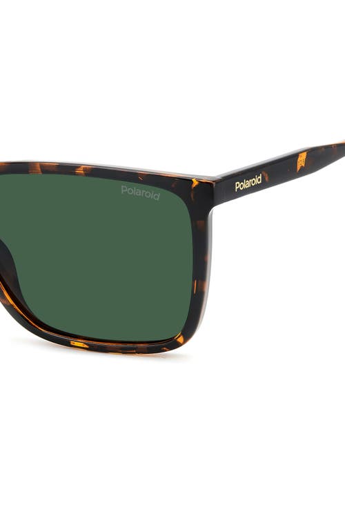 Polaroid 58mm Polarized Rectangular Sunglasses In Havana/green Polar