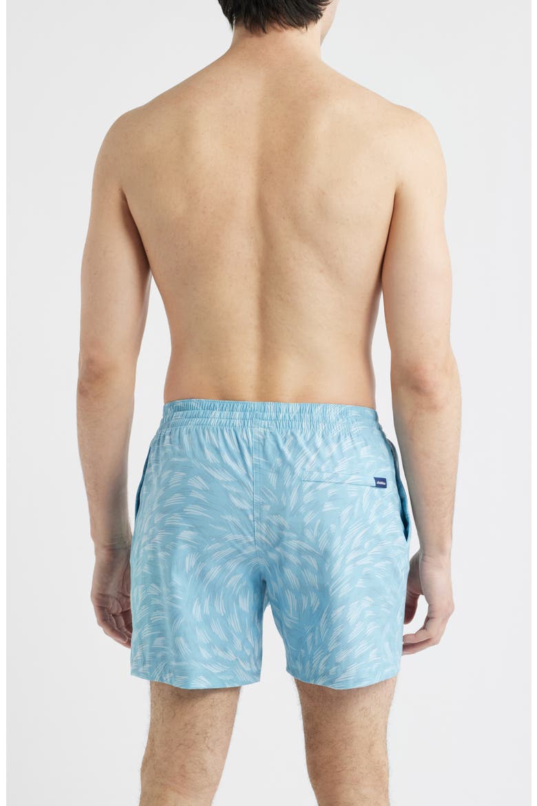 The Turquoise Tides 5.5-Inch Swim Trunks, Alternate, color, TURQUOISE/ AQUA
