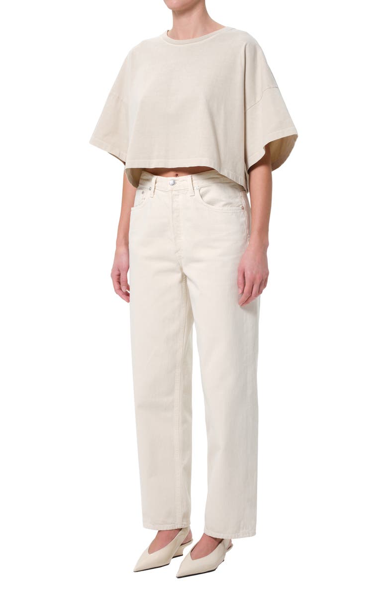 AGOLDE Arli Oversize Cotton Crop T-Shirt, Alternate, color, Brown Rice