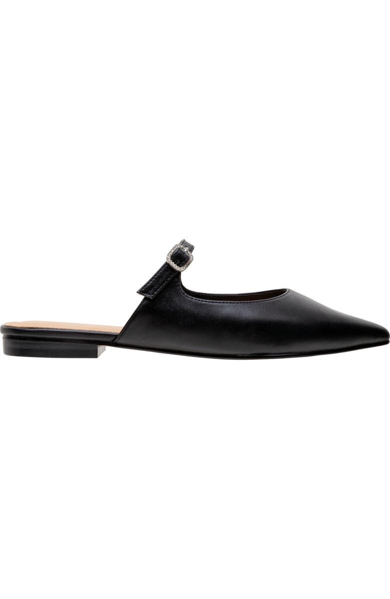 Lisa Vicky Moment Pointed Toe Mule, Alternate, color,