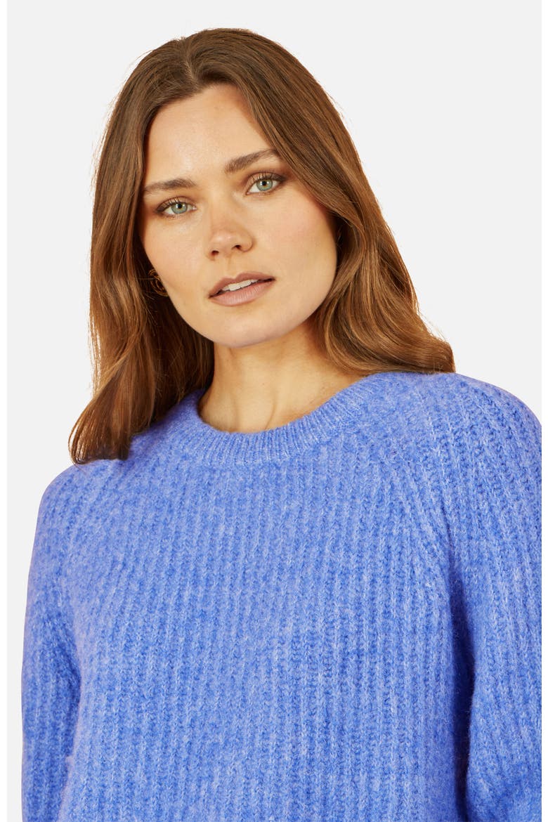 Long Sleeve Crew Neck Relaxed Fit Jumper, Alternate, color, Blue
