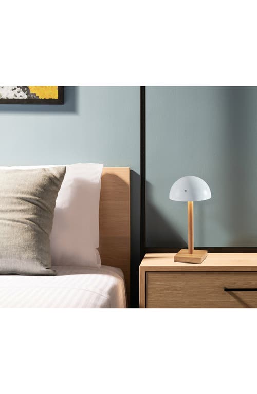 Adesso Lighting Nash Led Cordless Table Lamp