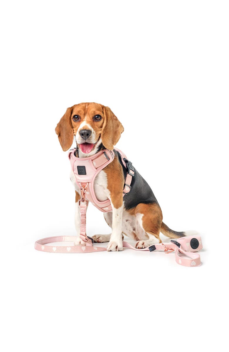 Dogistry NoMad Adjustable Dog Walking Set, Alternate, color, Sweetheart - L