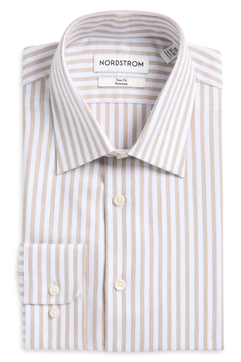 Premium Stripe Cotton Oxford Dress Shirt, Main, color, WHITE RENATO STRIPE
