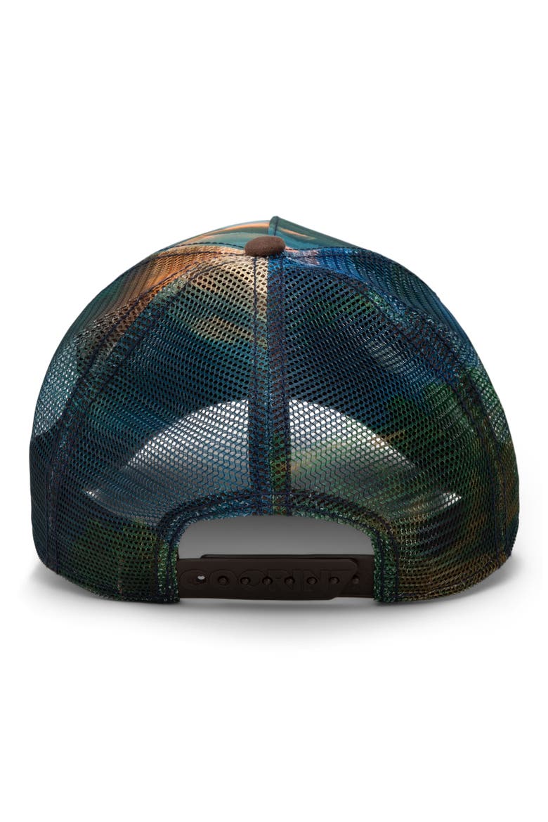 Eagle in the Element Patch Trucker Hat, Alternate, color, GROUND