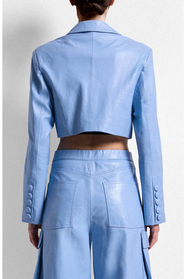 Poppy Leather Blazer, Alternate, color, PROVENCE BLUE