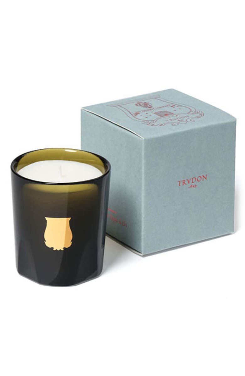 Trudon Abd El Kader Moroccan Mint Tea Candle, Alternate, color,