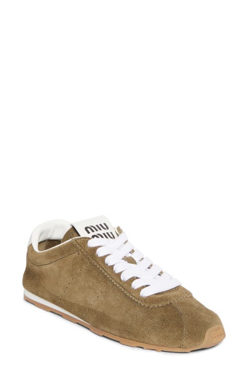 Miu Miu Allacciate Low Top Sneaker In Brown