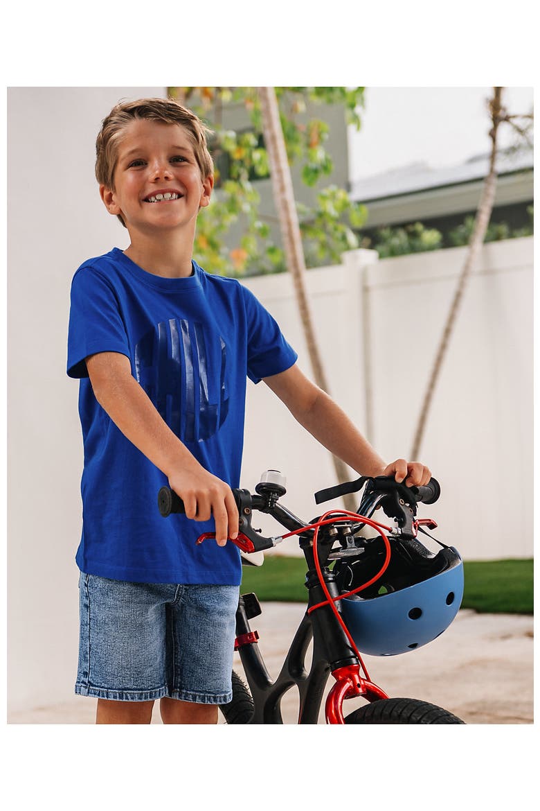 Boys Husky Short Sleeve Graphic Tee, Main, color, Chill/Cobalt