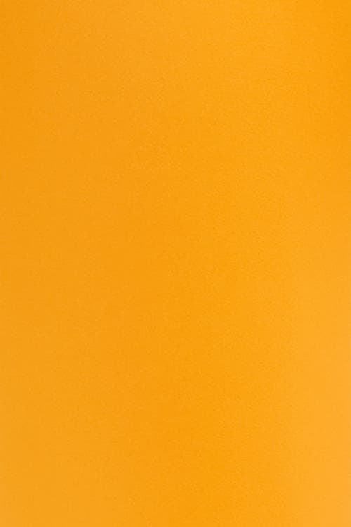 Peloton Endurance Light Tight In Amber