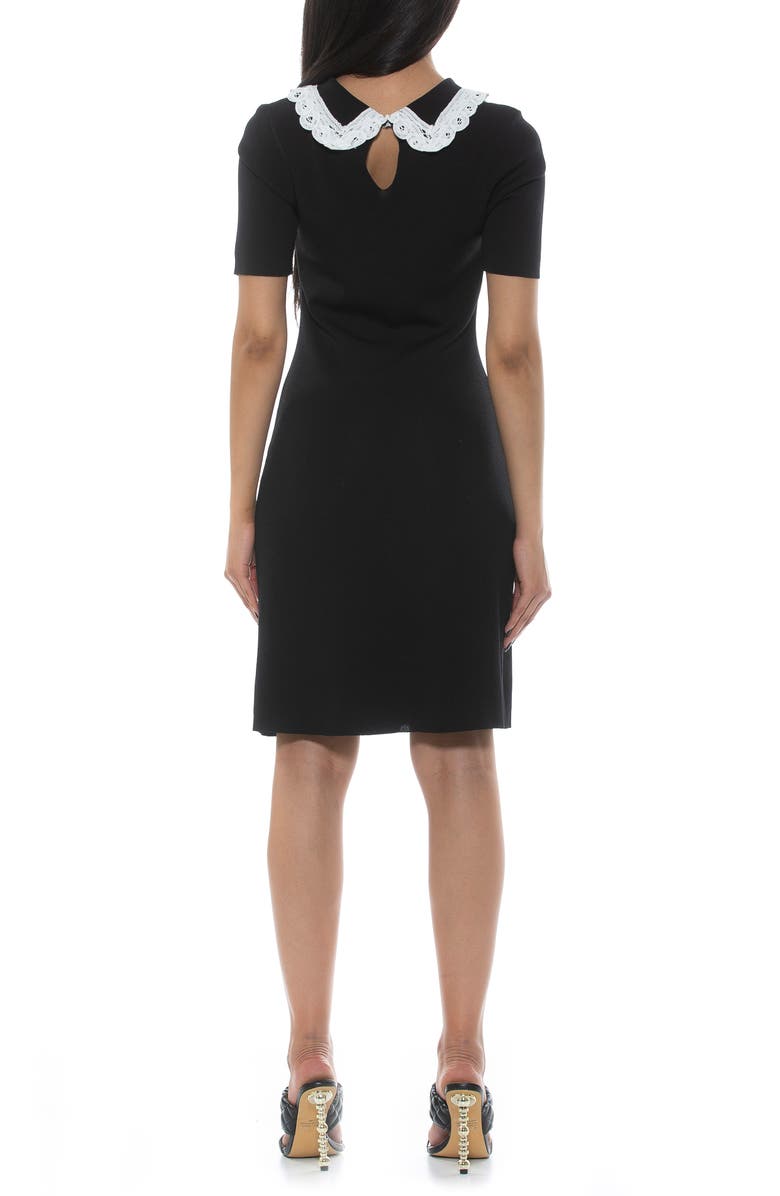 Alexia Admor Kacey Collar Fit & Flare Dress, Alternate, color, 