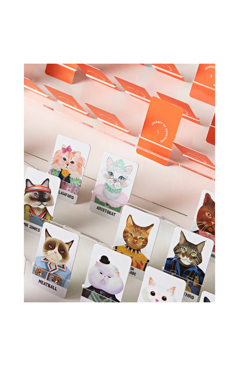 Journey of Something Guess the Feline, Quirky Cat Guessing Party Game, Alternate, color, Multicolored