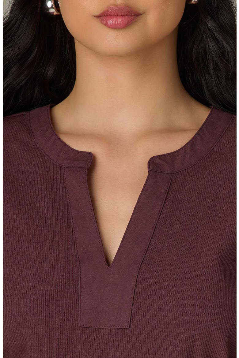 Mixed Media Puff Sleeve Top, Alternate, color, FIG JAM