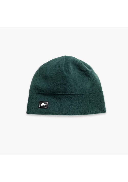 Turtle Fur Fleece Multi-season Beanie In Green