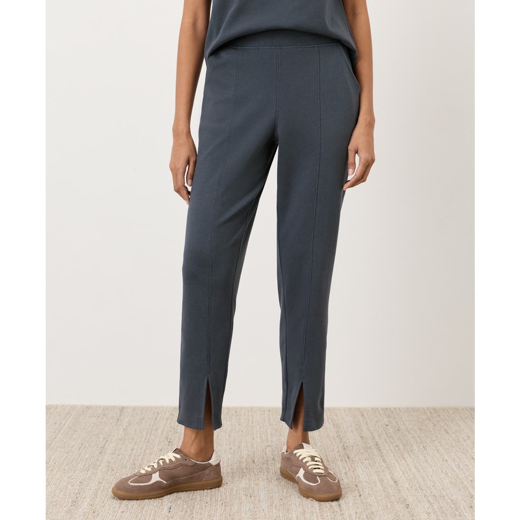Pact Organic Cotton Airplane Tapered Leg Pant In Blue